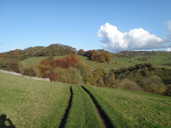 P2011DSC06772	The descent down to the B5056.