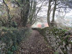 P2011DSC06863	The path leading down into Bonsall.