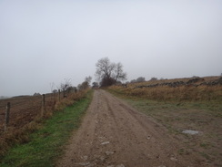 P2011DSC06884	The lane heading away from the old opencast workings.