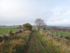 P2011DSC06896	Following a track west above Winster.