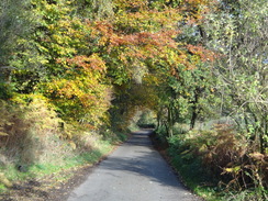 P2011DSC06924	The road near Harthill Moor Farm.