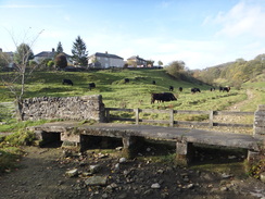 P2011DSC06938	A plank bridge over the River Bradford in Youlgreave.