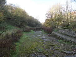 P2011DSC06945	Following the path west beside the River Bradford.