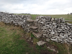 P2011DSC06962	A stile on the path.