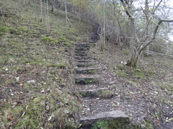 P2011DSC06973	The steps leading down into Cales Dale.