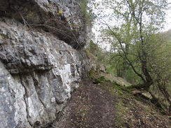 P2011DSC06977	The path climbing out of Cales Dale.