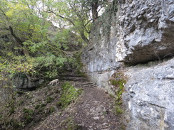 P2011DSC06978	The path climbing out of Cales Dale.