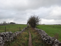 P2011DSC06996	The track leading into Monyash.