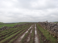 P2011DSC07038	Following Sough Lane north-northeastwards from Moor Lane.