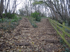 P2011DSC07094	Steps leading up Peak Hill.