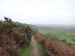 P2011DSC07099	The descent down from Peak Hill.