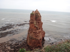 P2011DSC07131	Stacks in Ladram Bay.