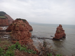 P2011DSC07135	Stacks in Ladram Bay.