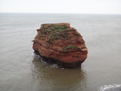 P2011DSC07137	A stack in Ladram Bay.