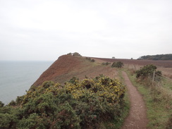 P2011DSC07144	The path heading south from Ladram Bay towards Brandy Head.