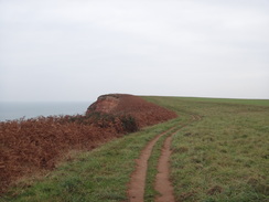 P2011DSC07149	Following the cliffs south towards the mouth of the River Otter.