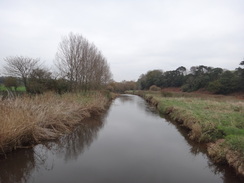 P2011DSC07176	The River Otter.