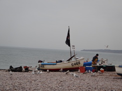 P2011DSC07204	A man gutting his day's catch.