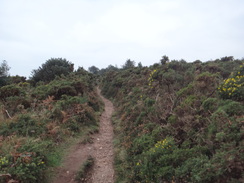 P2011DSC07224	The ascent up onto West Down Beacon.