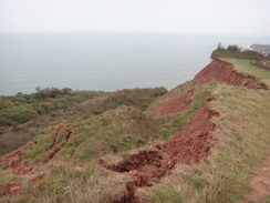 P2011DSC07236	A cliff slump beside the path.