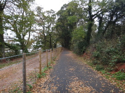 P2011DSC07378	The cycle path heading north from Exton.