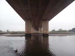 P2011DSC07411	The bridge carrying the M5 over the Exe.