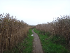 P2011DSC07415	The path leading into Lower Wear.