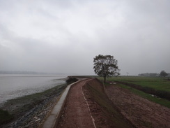 P2011DSC07489	Heading southeast along the floodbank towards Powderham.