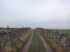 P2011DSC07585	The track leading down into Miller's Dale.