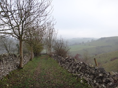 P2011DSC07594	The track leading down into Miller's Dale.