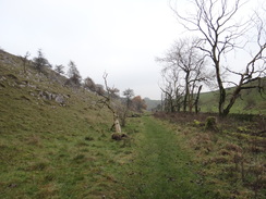 P2011DSC07703	Heading north through Hay Dale.