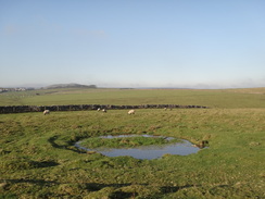 P2011DSC07755	Descending north across Old Moor.