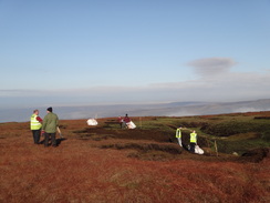 P2011DSC07945	People spreading heather on the moors.