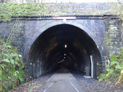 P2011DSC08197	The eastern portal of Chee Tor Tunnel.