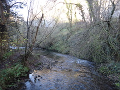 P2011DSC08246	The Wye in Chee Dale.