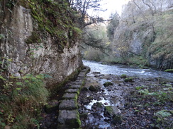 P2011DSC08247	Stepping stones in the Wye in Chee Dale.