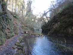 P2011DSC08268	The River Wye in Chee Dale.