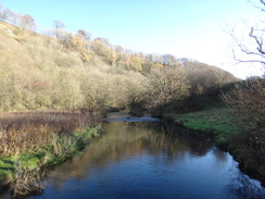 P2011DSC08285	The River Wye in Chee Dale.