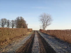 P2012DSC08500	The track past Bird's Pastures Farm.