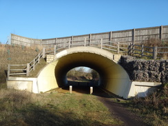 P2012DSC08579	A tunnel carrying Crow Dean track under the Caxton bypass.