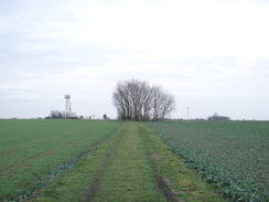 P2012DSC08606	Heading south from Debden Top Farm.