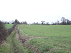 P2012DSC08624	The track between Graveley and Yelling.