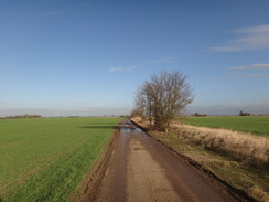 P2012DSC08653	The track heading north towards Debden Top Farm.