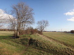 P2012DSC08691	The tracknbed of the old St Ives to Huntingdon railway line.