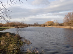 P2012DSC08746	The Great Ouse by Hartford Marina.