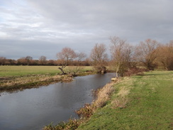 P2012DSC08760	Cook's Stream.