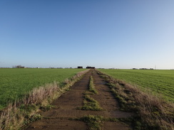 P2012DSC08865	A track on the site of Warboys Airfield.