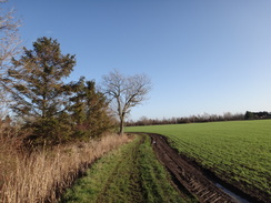 P2012DSC08898	The trail heading east from Warboys.