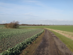 P2012DSC08909	The path heading southeast into Someersham.