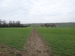 P2012DSC09071	The path leading towards Childerley.